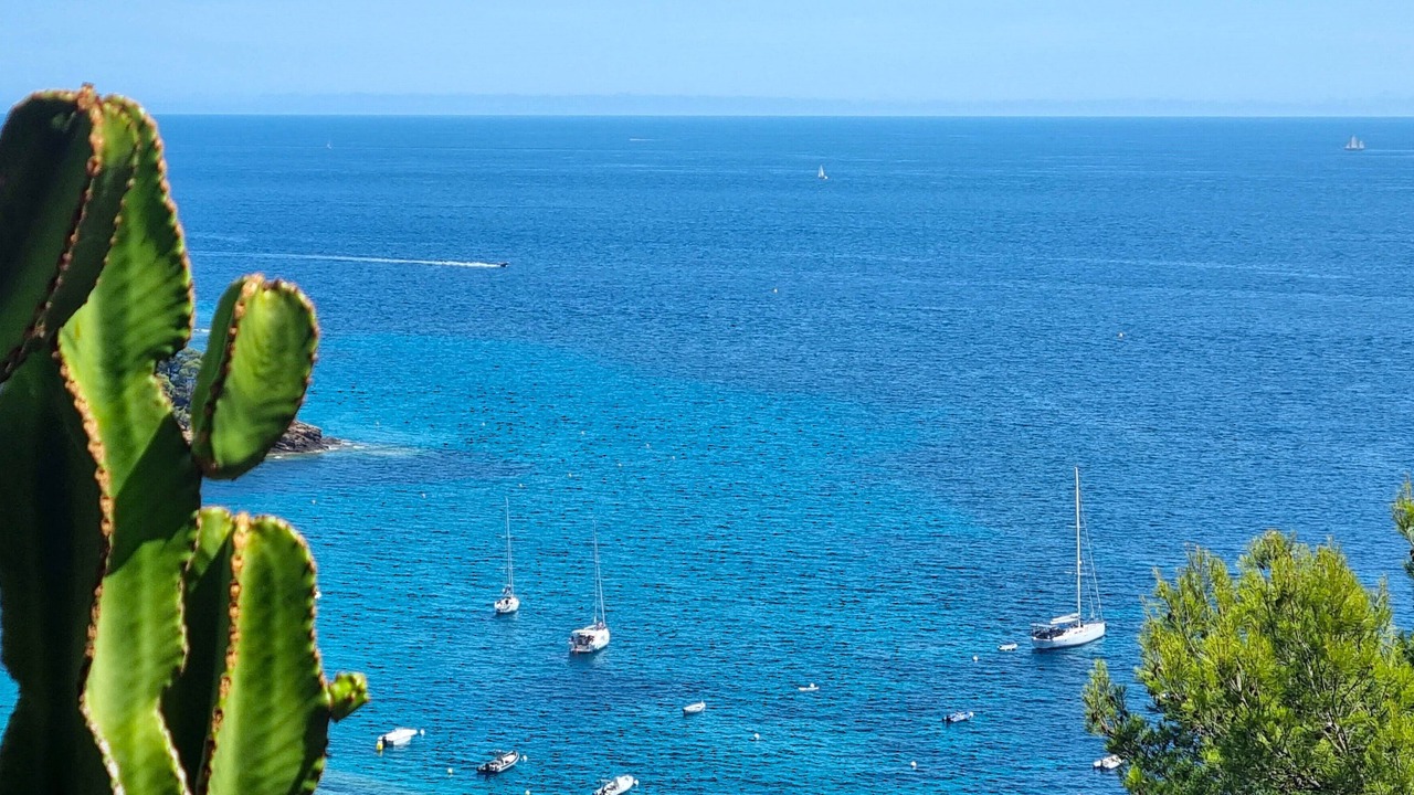 Photo of Others in Rayol-Canadel-sur-Mer
