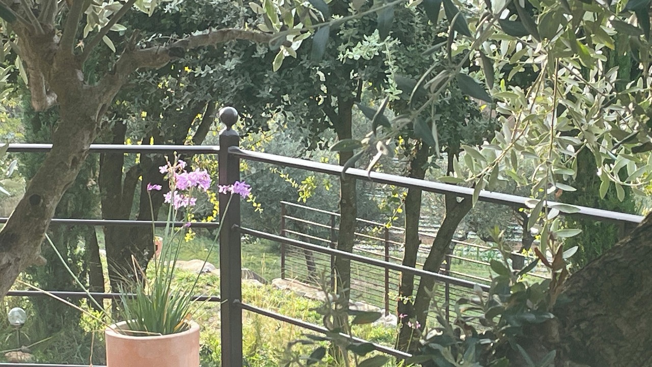Photo of Outdoor in Malaucene