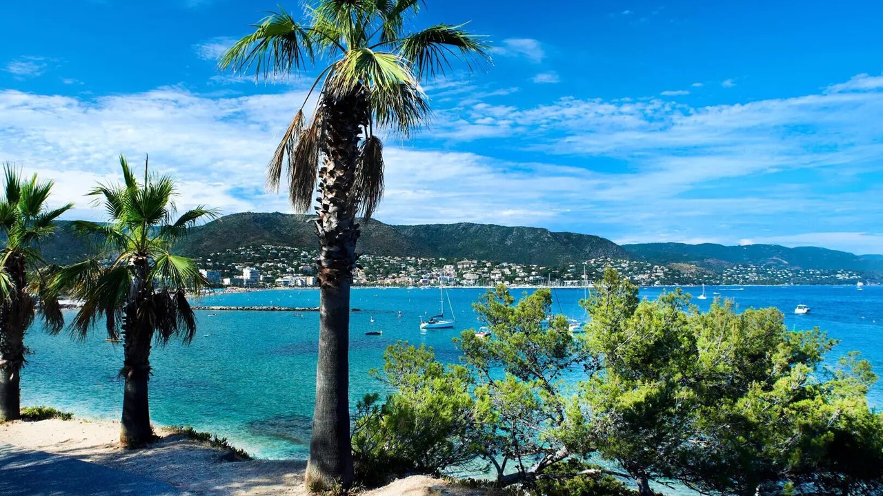 Photo of Others in La Londe-les-Maures