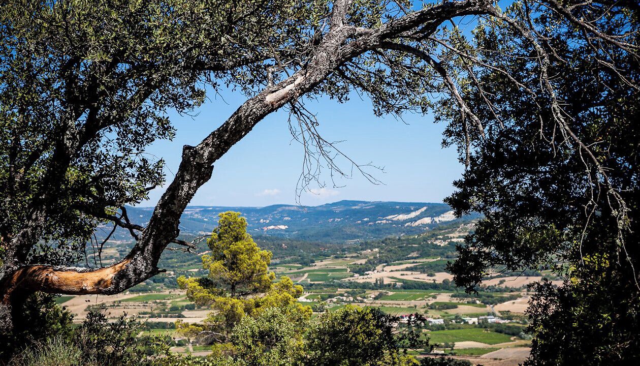 Photo of Others in Saint-Saturnin-les-Apt