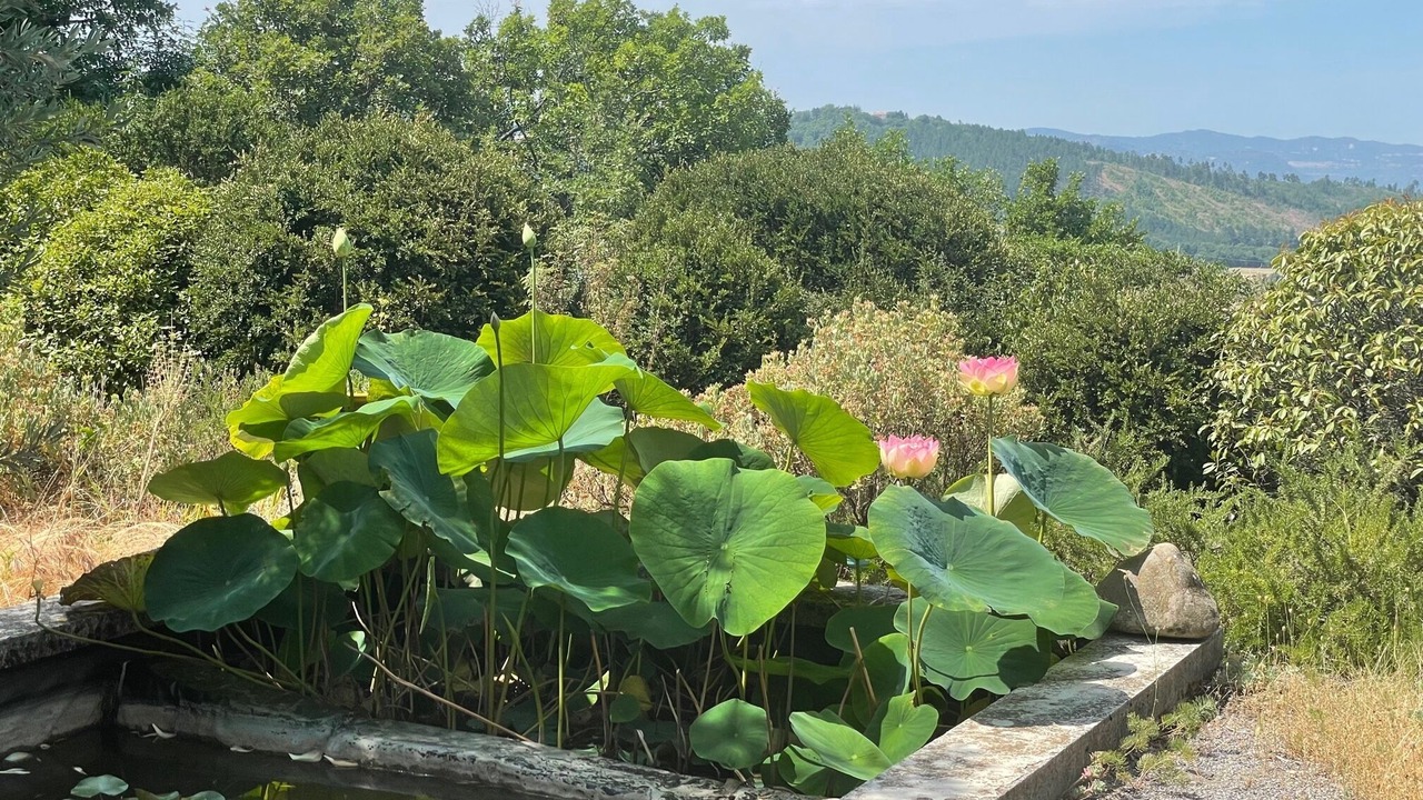 Photo of Outdoor in Digne-les-Bains