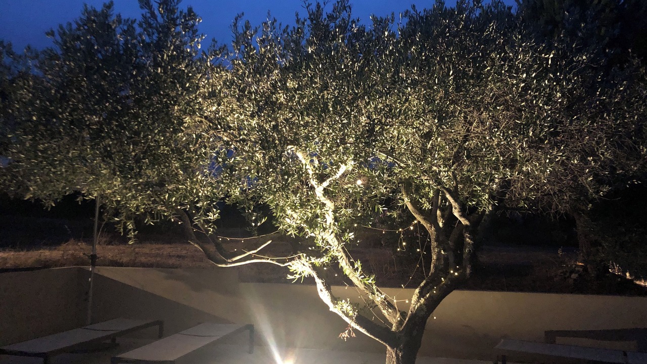 Photo of Outdoor in Cogolin