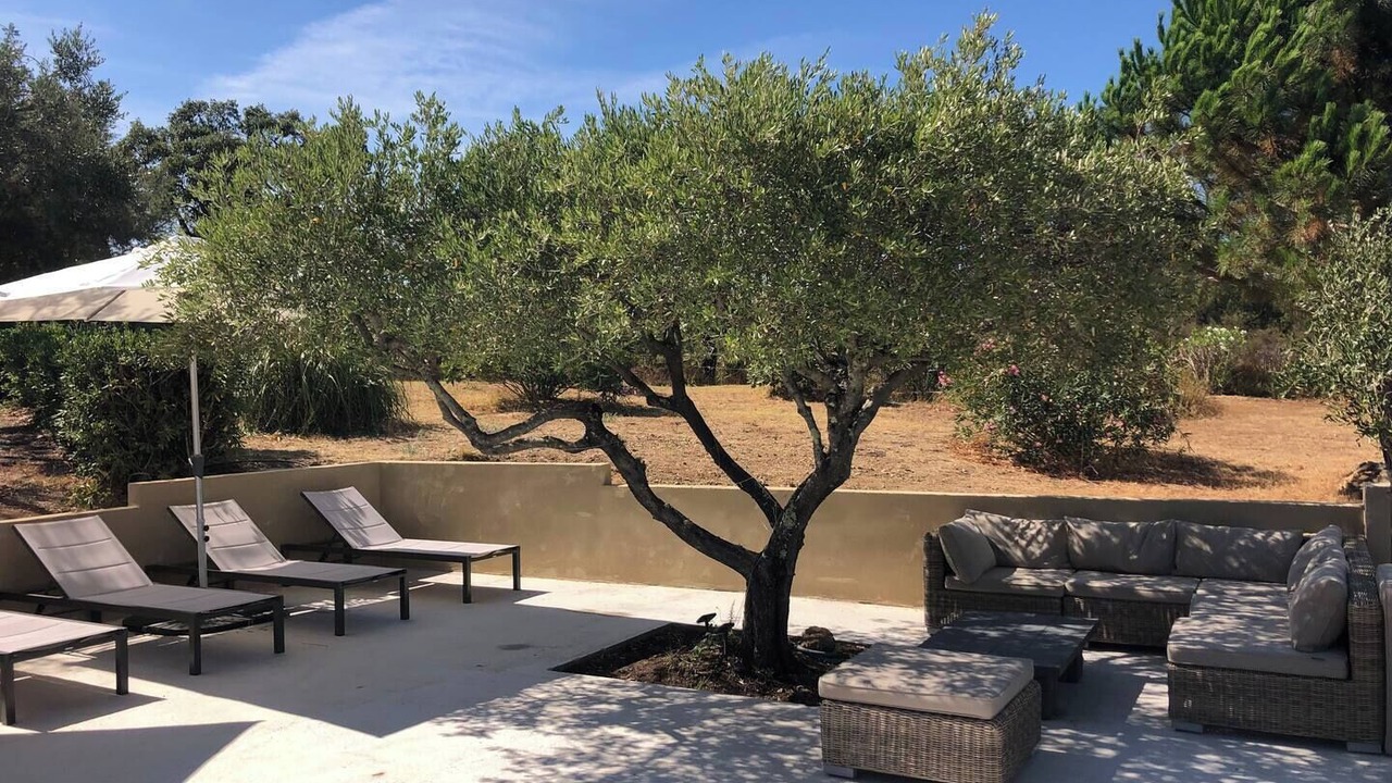 Photo of Patio Balcony in Cogolin