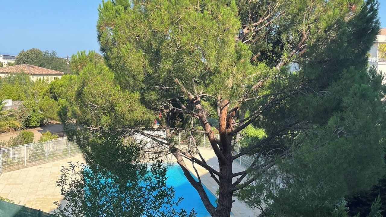 Photo of Outdoor in Sormiou