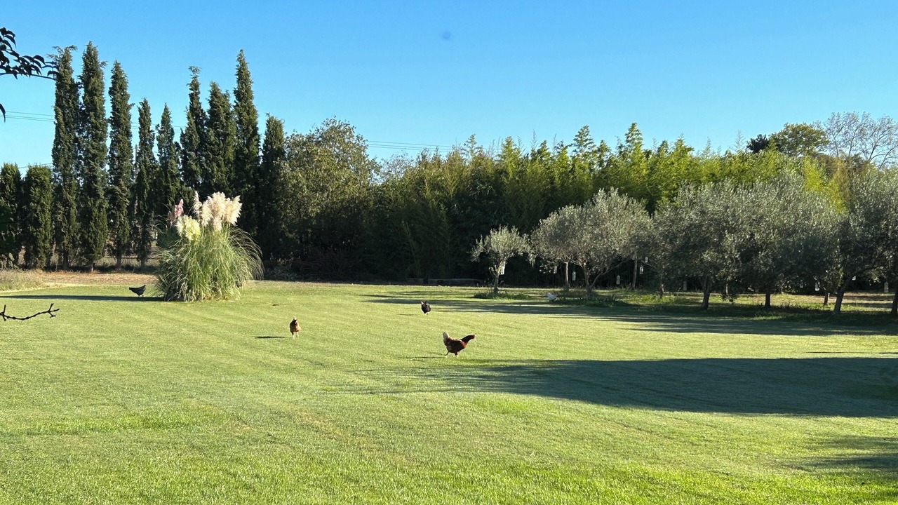 Photo of Others in Vers-Pont-du-Gard