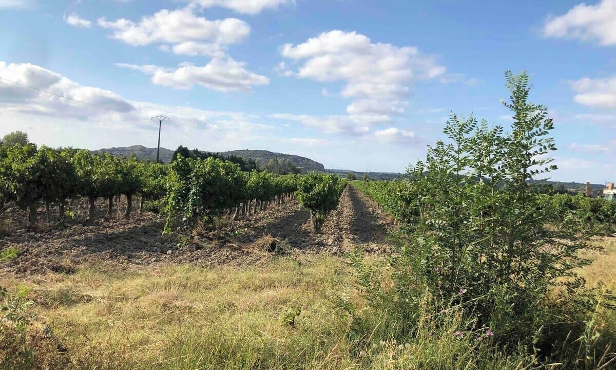 Photo of Others in Montfrin