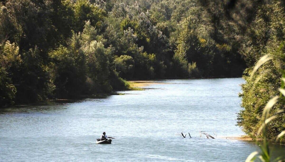 Photo of Others in Montfrin