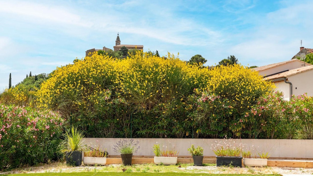 Photo of Outdoor in Crillon-le-Brave