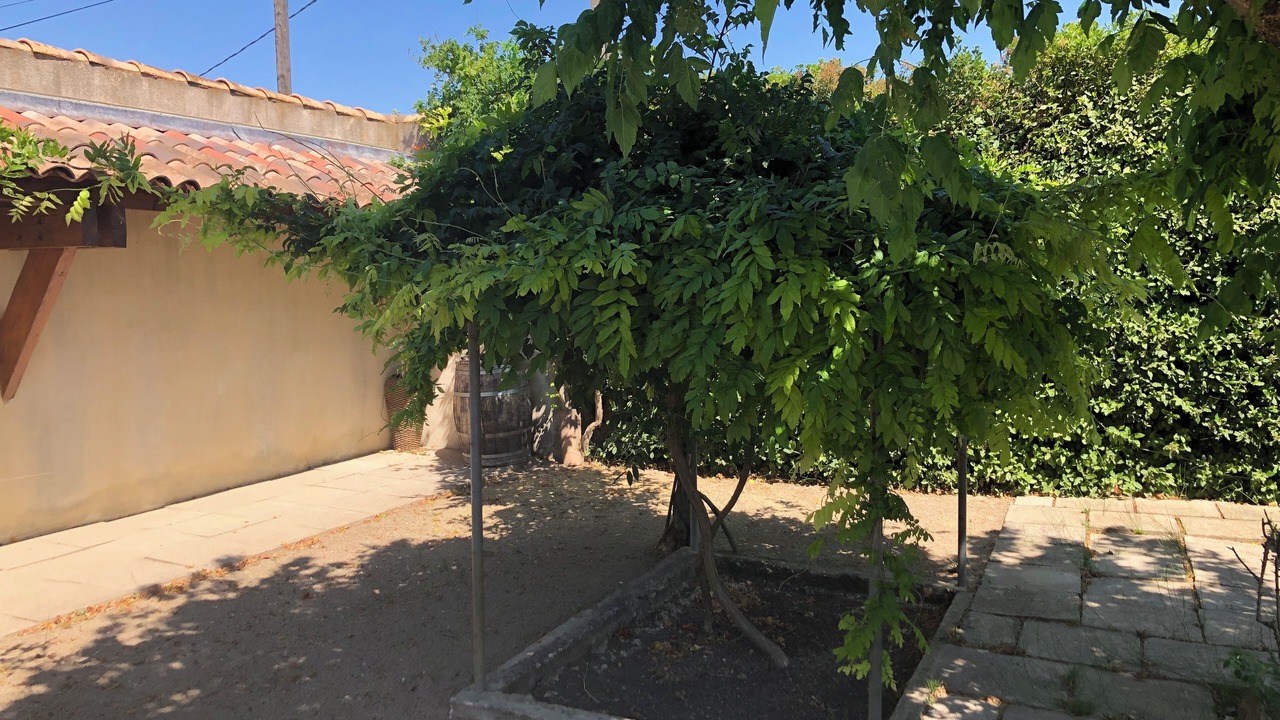 Photo of Outdoor in Orange