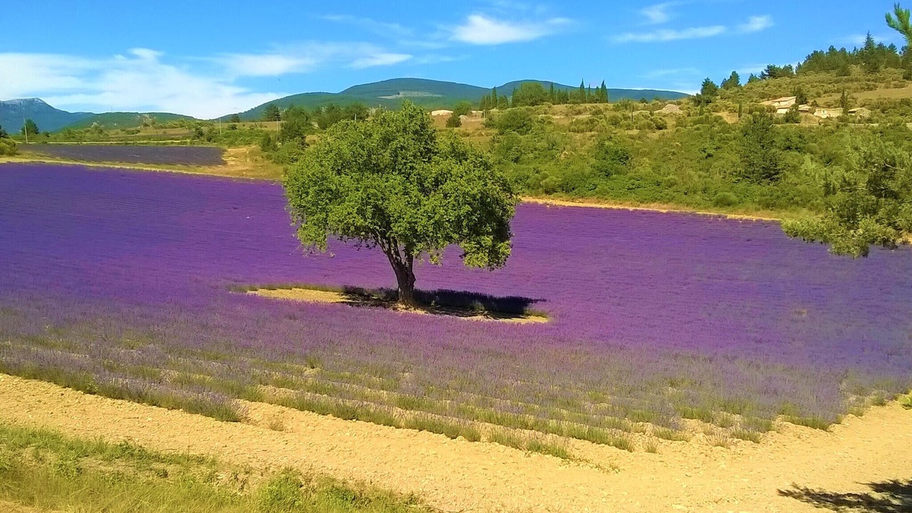Photo of Others in Cabrieres-dʼAigues