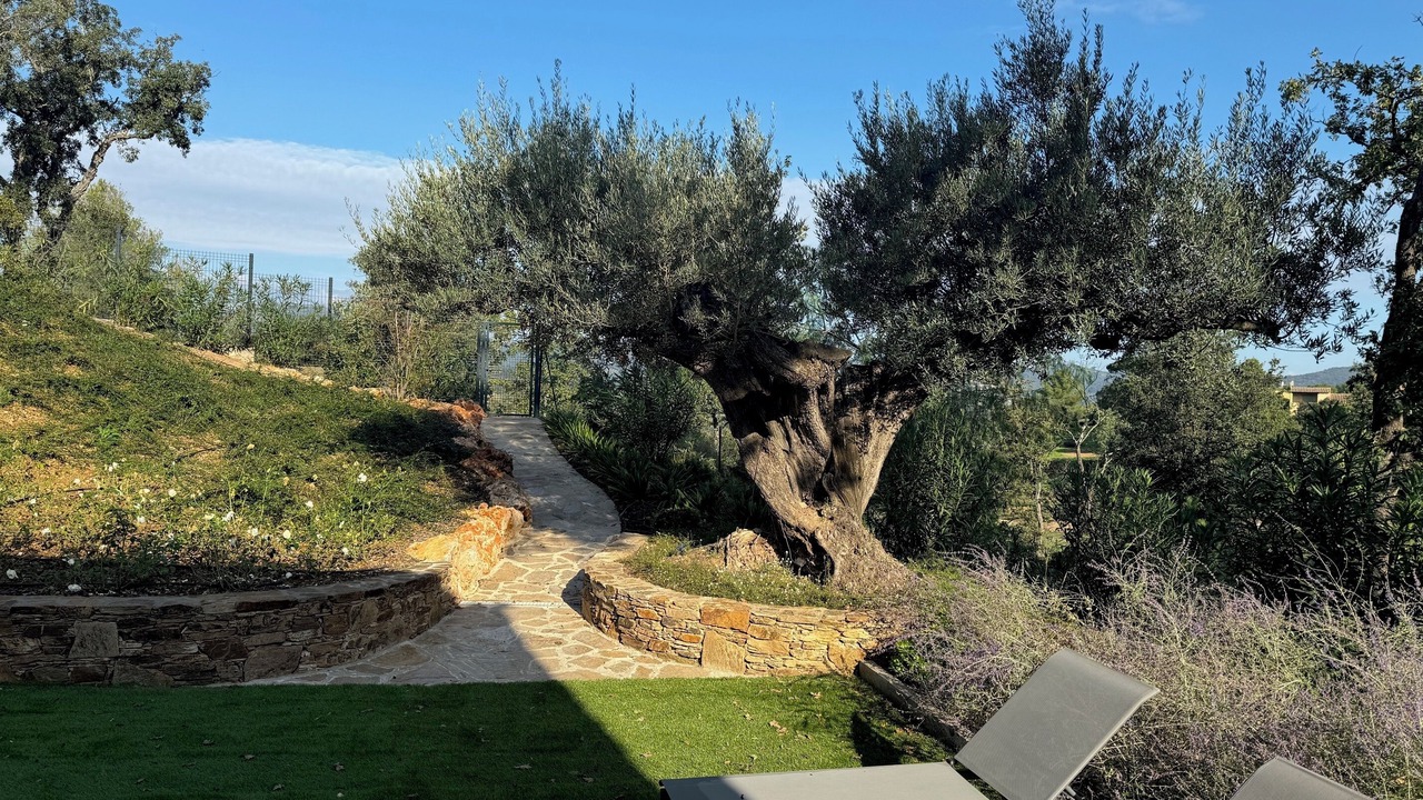 Photo of Outdoor in Cogolin