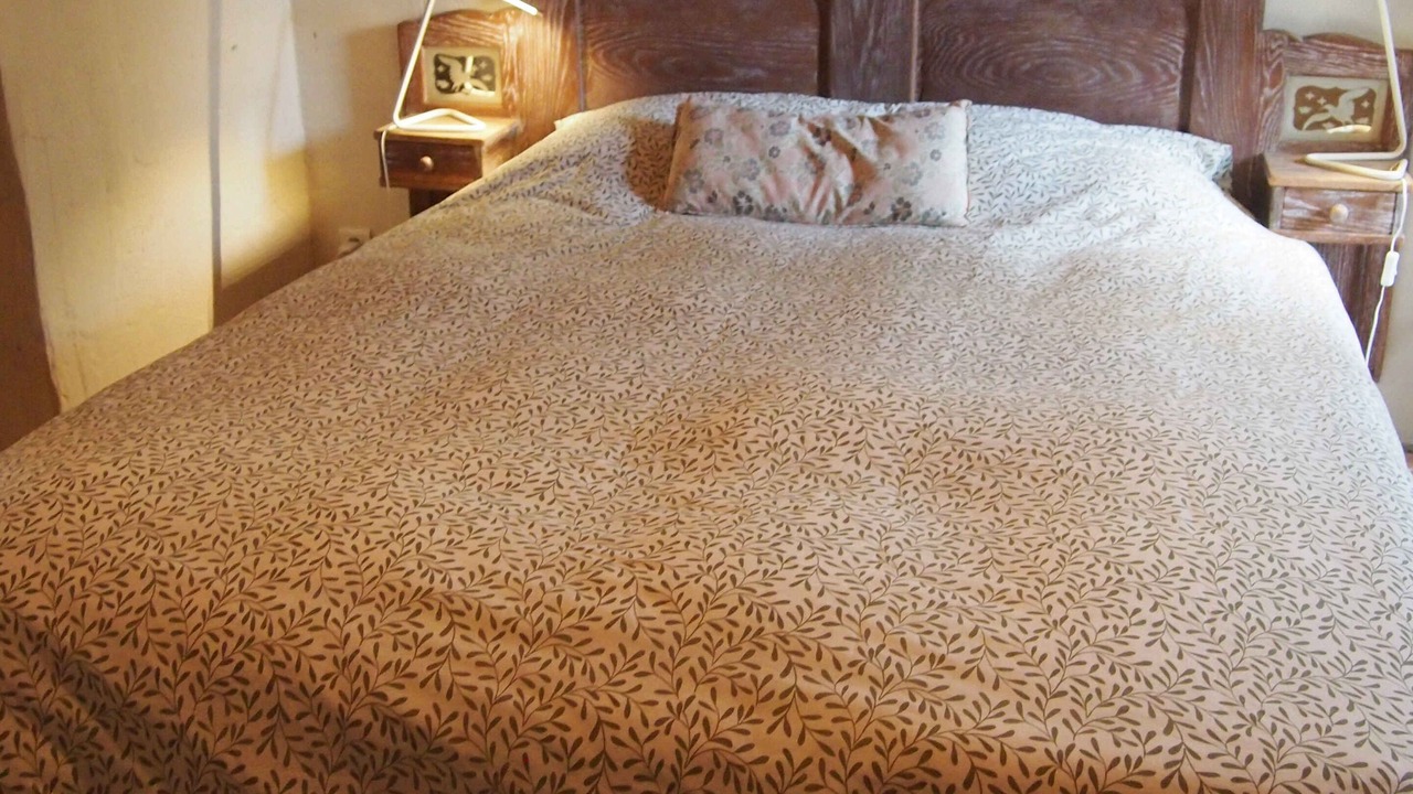 Photo of Bedroom in Aups
