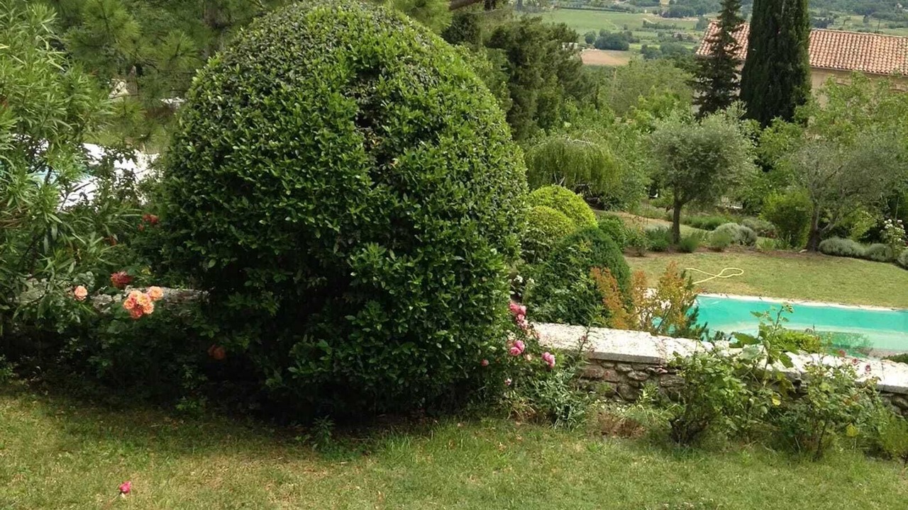 Photo of Outdoor in Lacoste