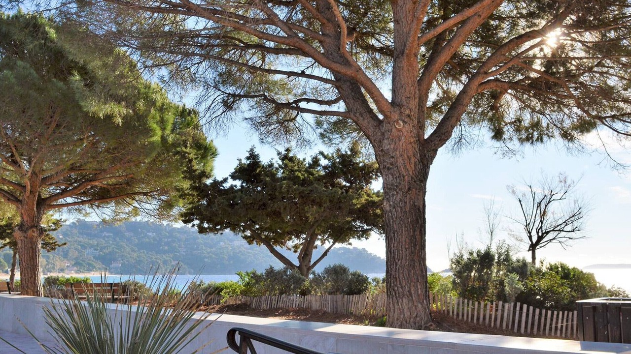 Photo of Outdoor in Cavaliere Beach