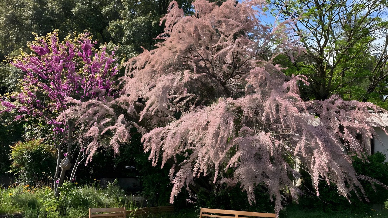 Photo of Outdoor in La Bastidonne
