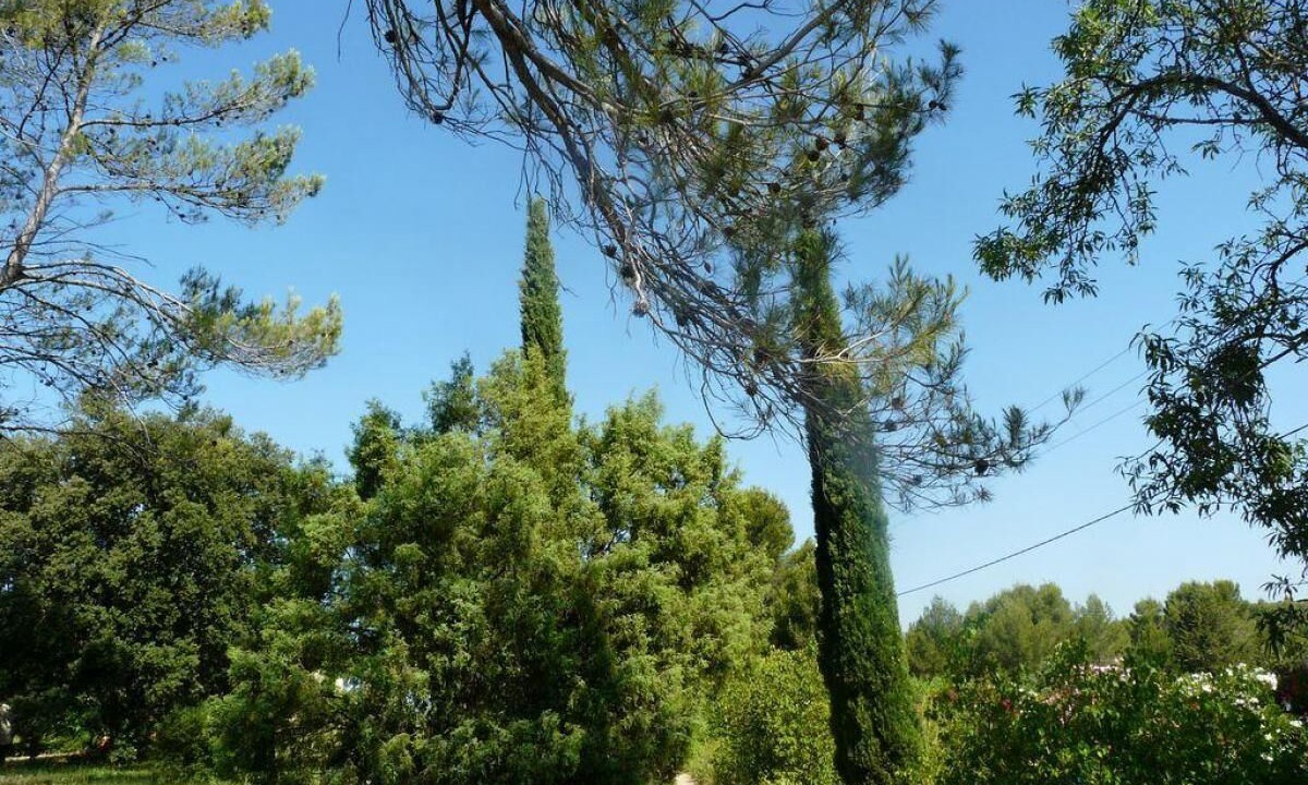 Photo of Others in Montfort-sur-Argens