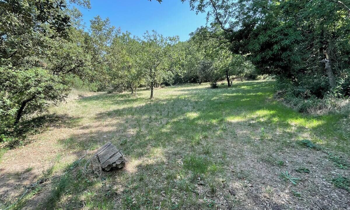 Photo of Others in Mondragon