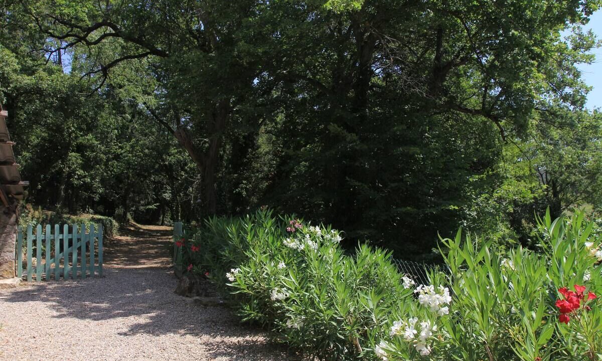 Photo of Outdoor in Mondragon