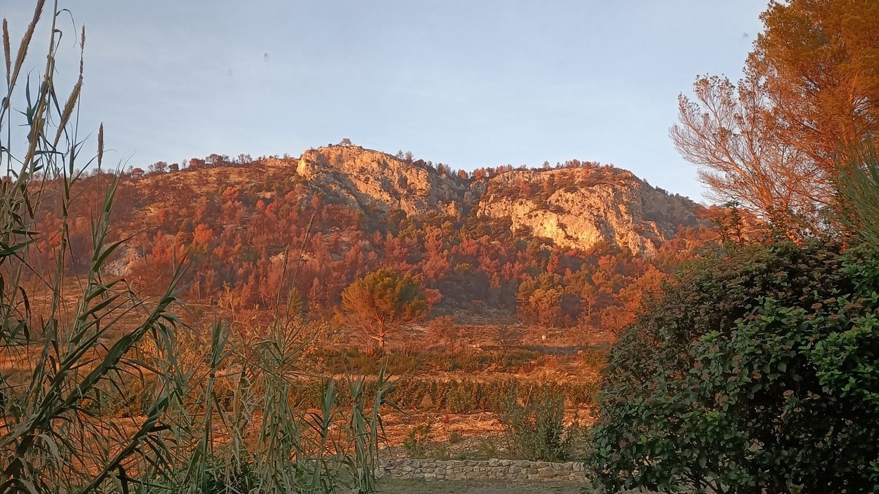 Photo of Outdoor in Saint-Hippolyte-le-Graveyron