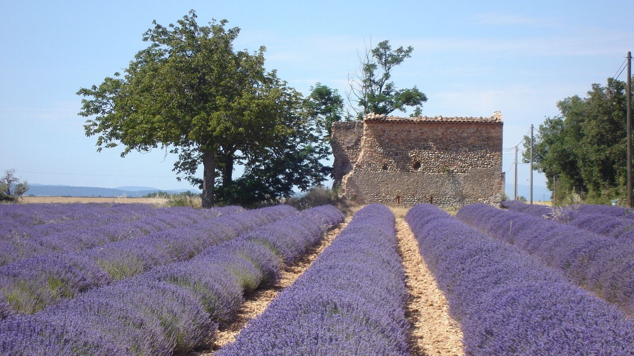 Photo of Others in Pierrevert