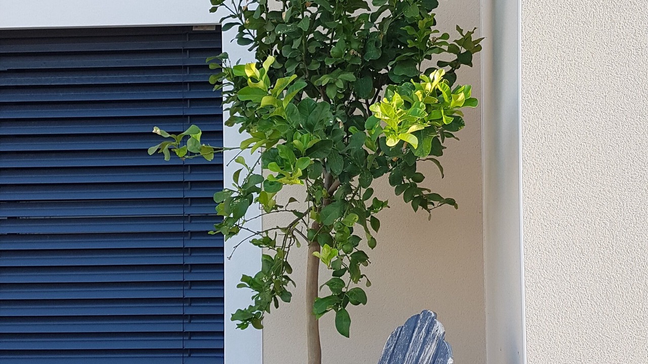 Photo of Patio Balcony in Saint-Genies-de-Comolas