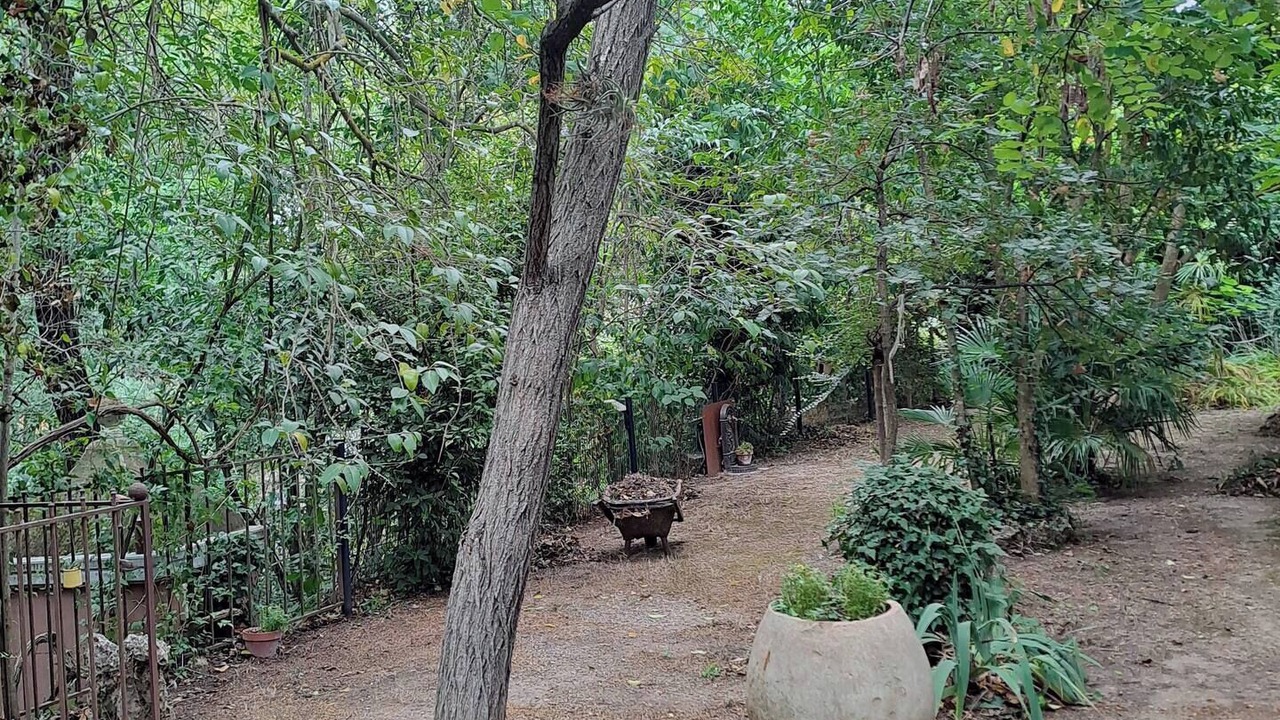 Photo of Outdoor in Pignans