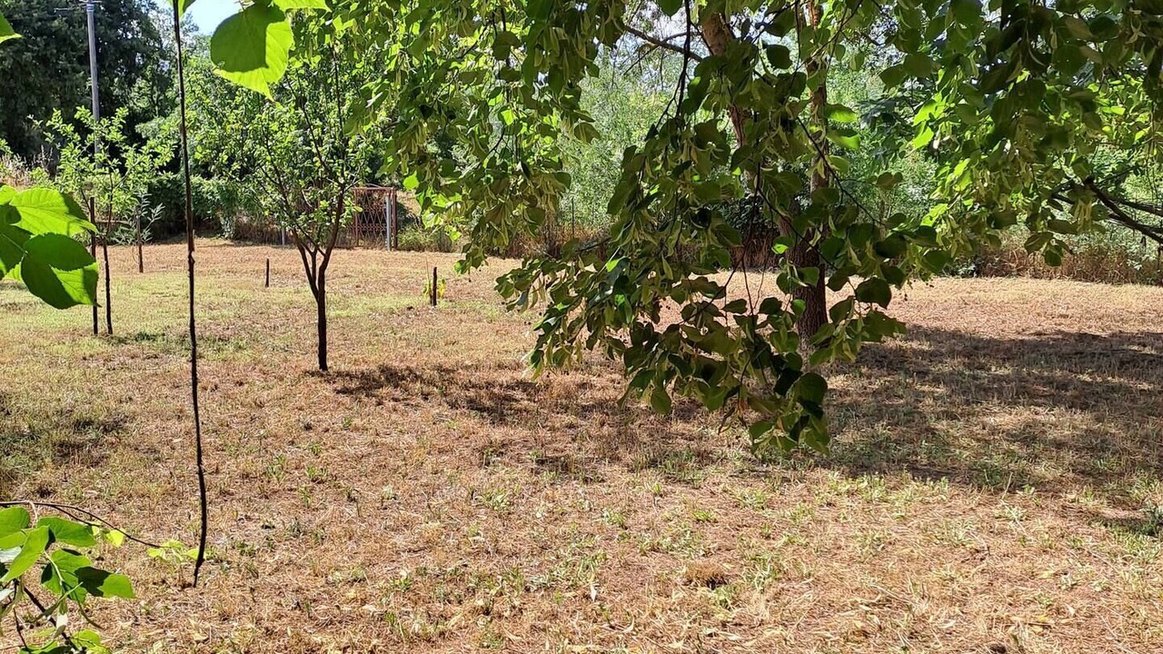 Photo of Others in Pignans