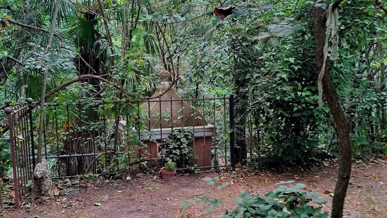Photo of Outdoor in Pignans