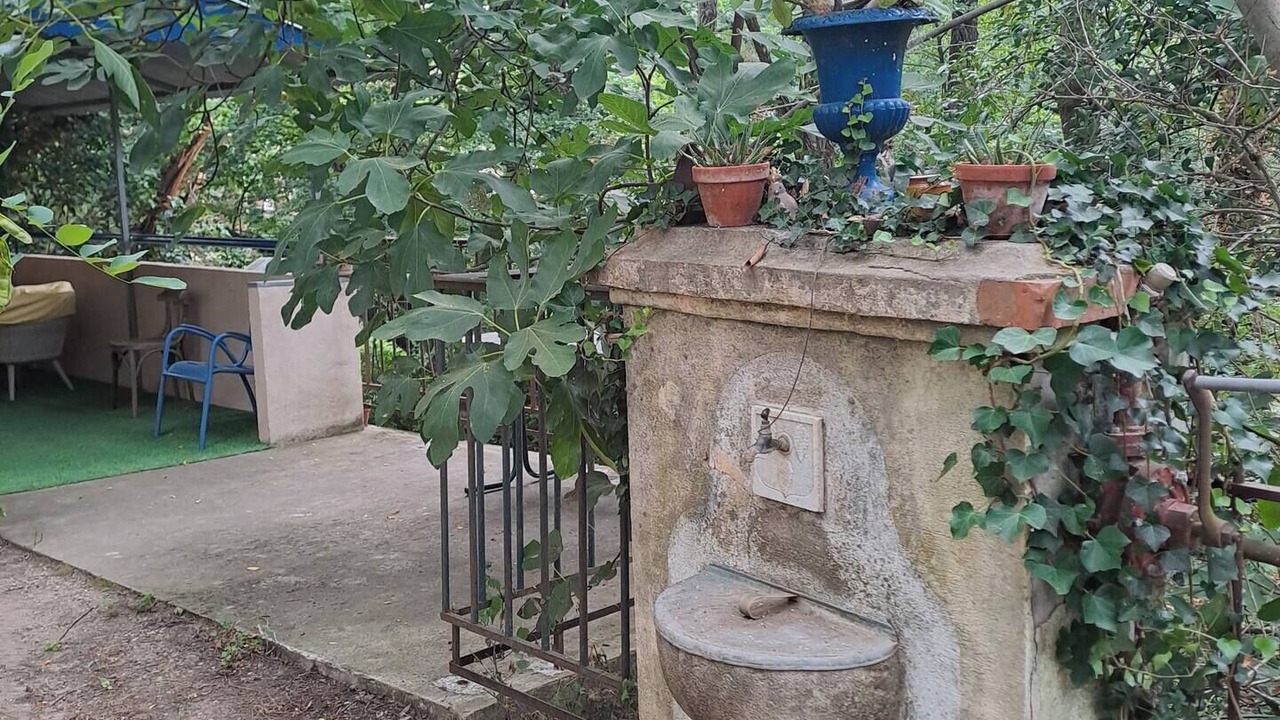 Photo of Outdoor in Pignans