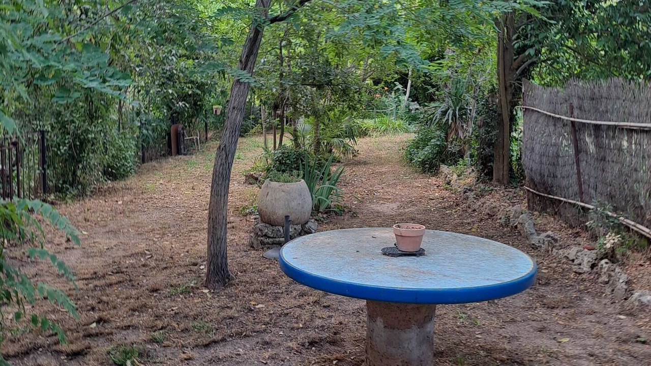 Photo of Outdoor in Pignans