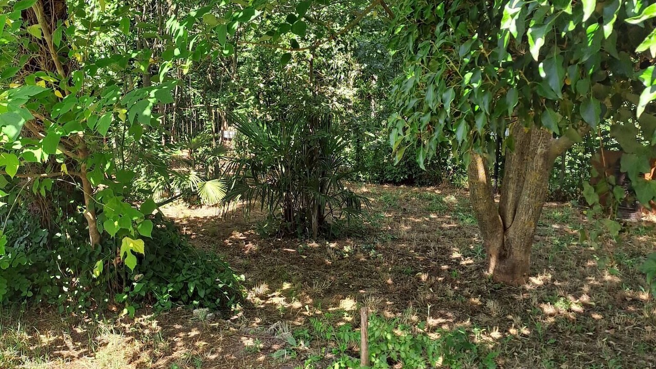 Photo of Outdoor in Pignans