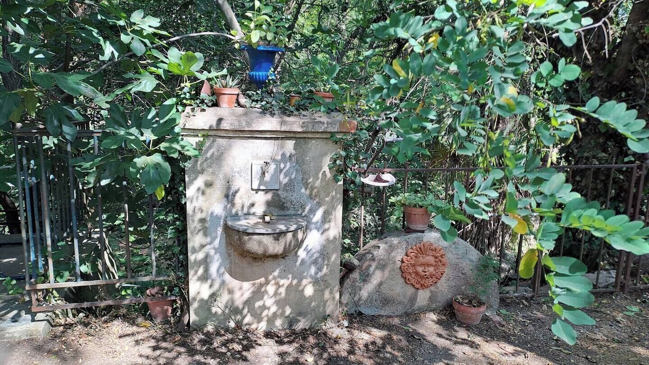 Photo of Outdoor in Pignans