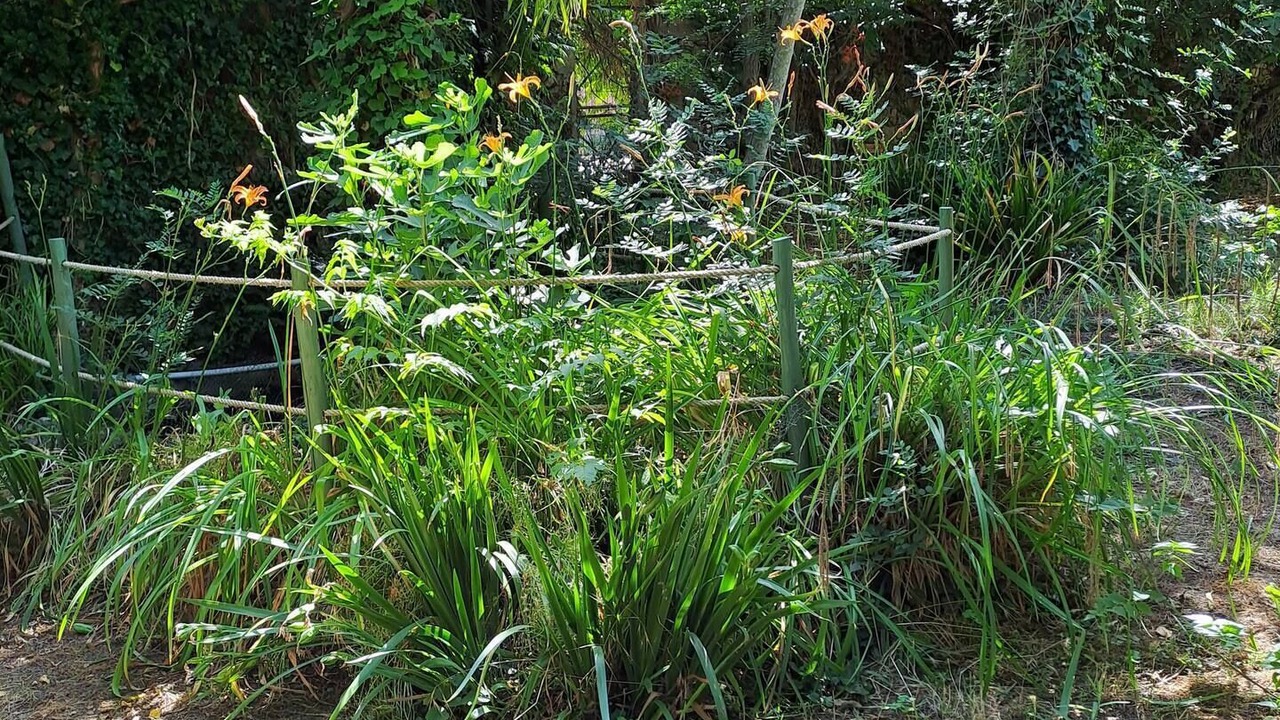 Photo of Outdoor in Pignans
