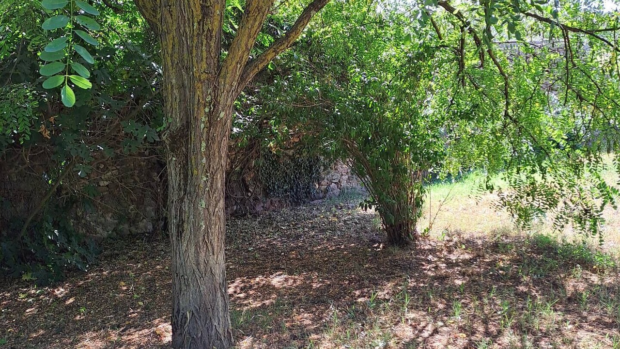 Photo of Outdoor in Pignans