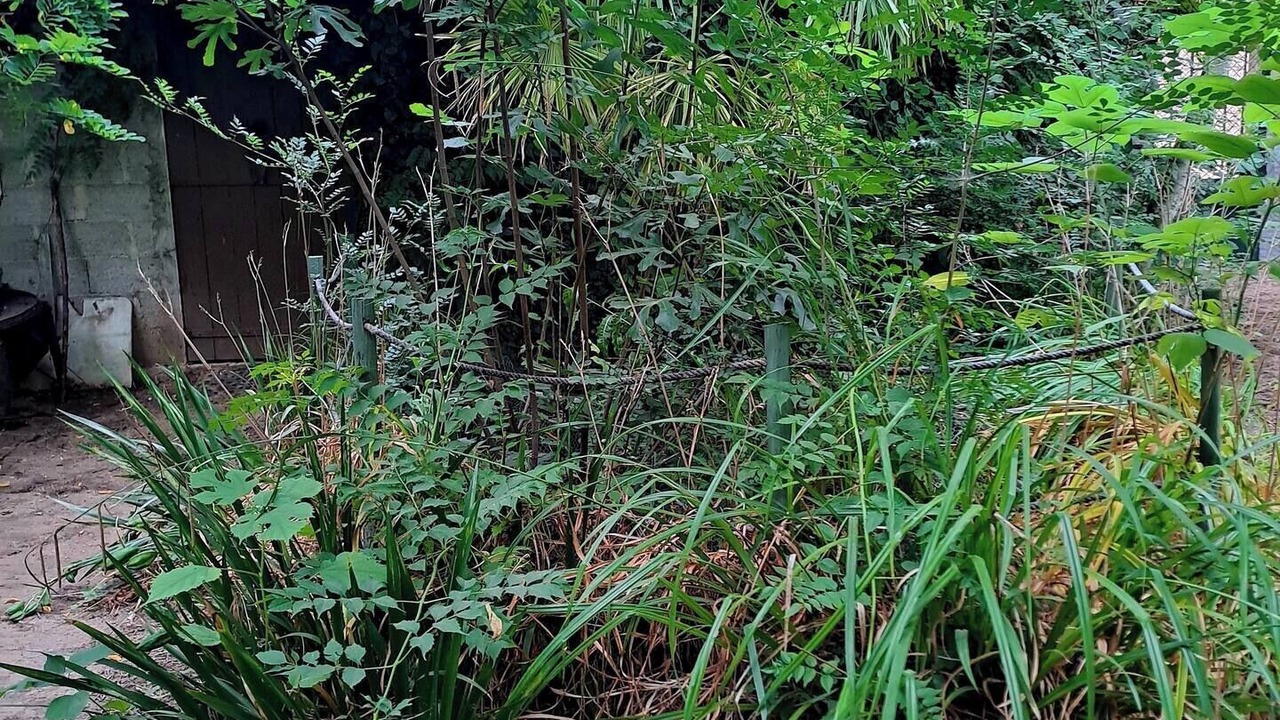 Photo of Outdoor in Pignans