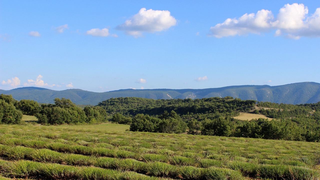 Photo of Outdoor in Saint-Martin-de-Castillon