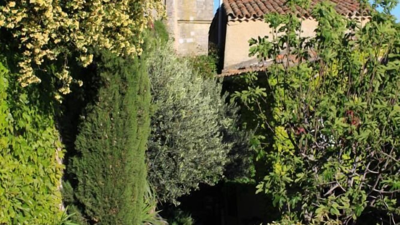 Photo of Others in Saint-Martin-de-Castillon