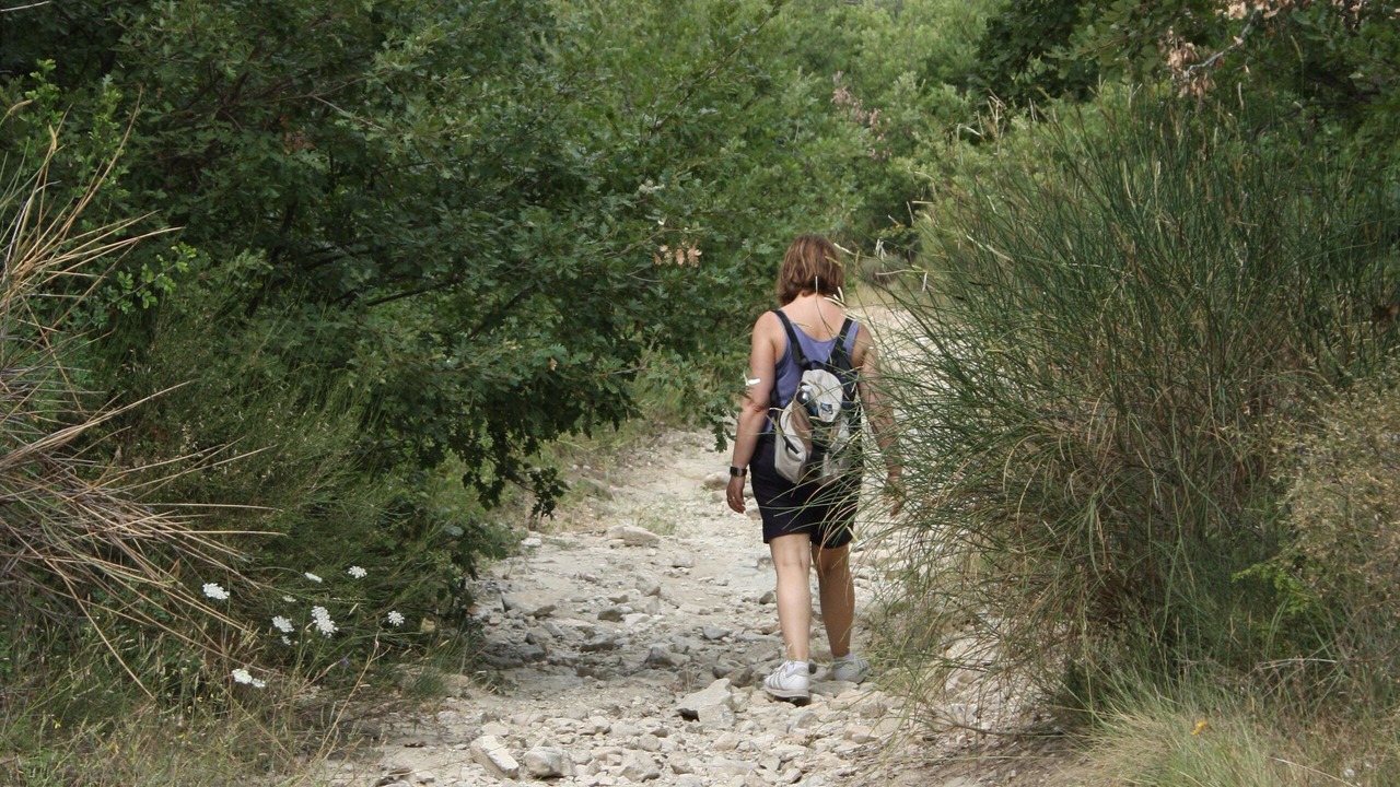 Photo of Others in Saint-Martin-de-Castillon