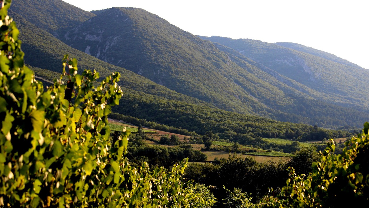 Photo of Outdoor in Saint-Martin-de-Castillon