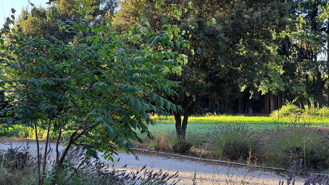 Photo of Outdoor in Molleges