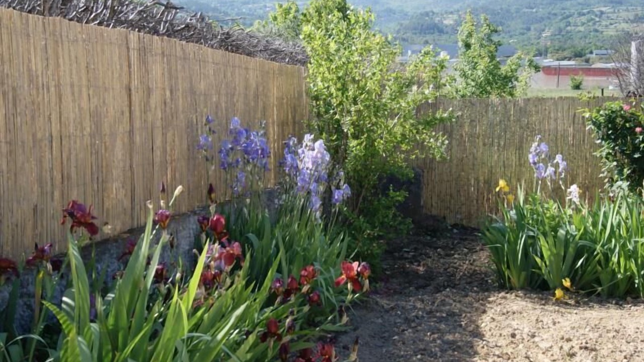 Photo of Outdoor in Gargas