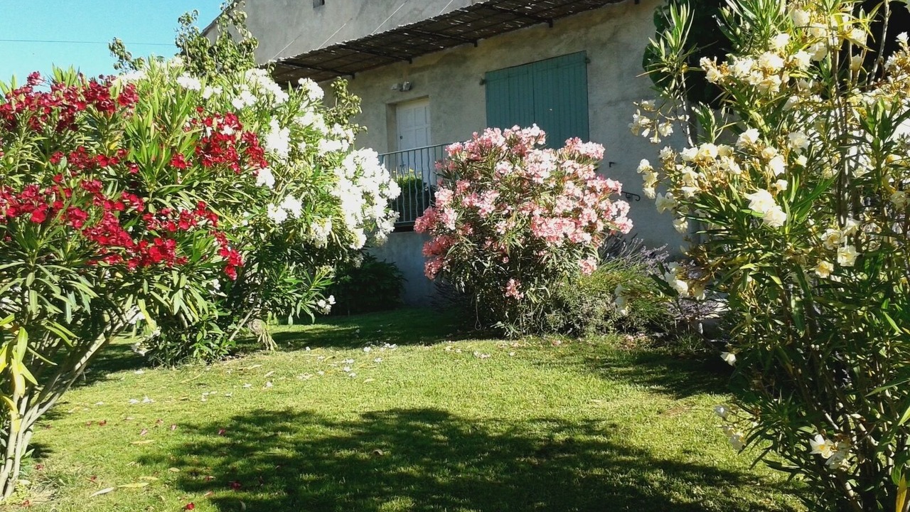 Photo of Outdoor in Gargas