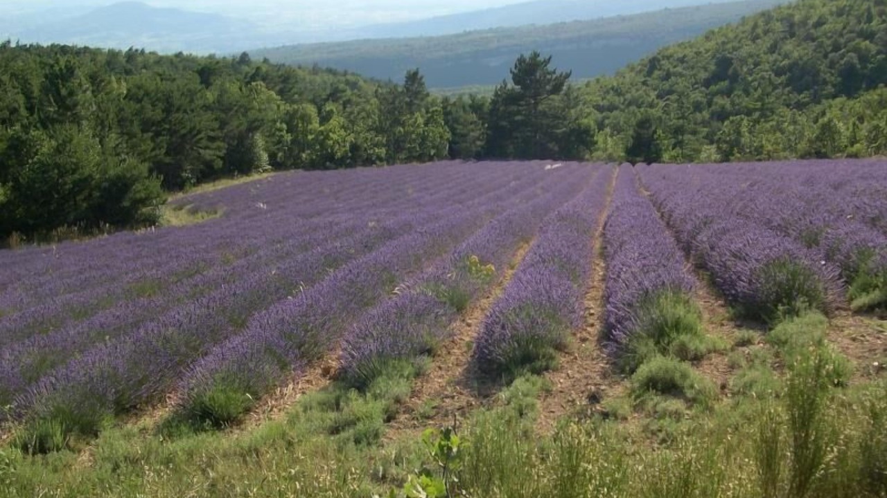 Photo of Outdoor in Gargas