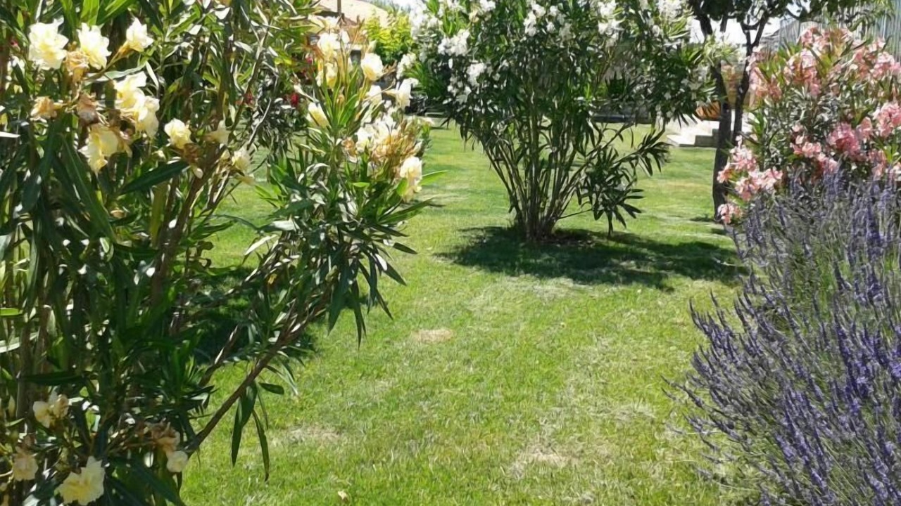 Photo of Outdoor in Gargas