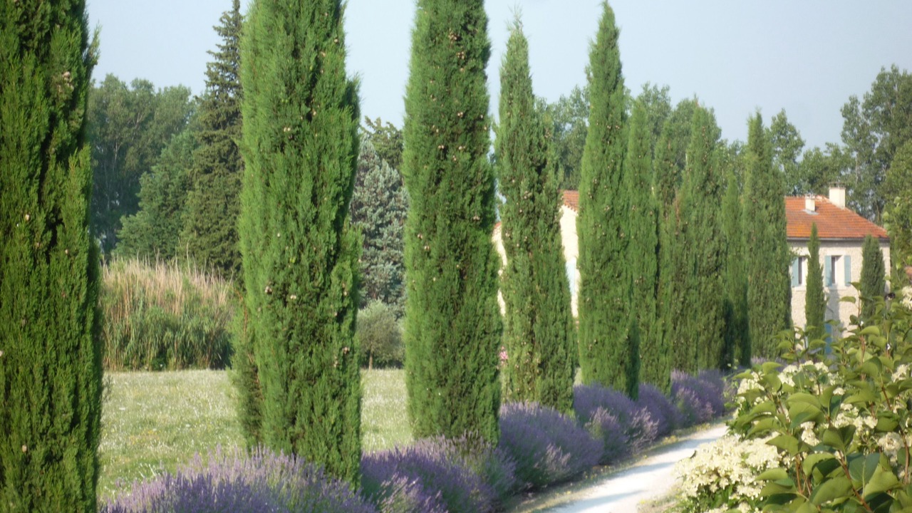 Photo of Outdoor in L'Isle-sur-la-Sorgue