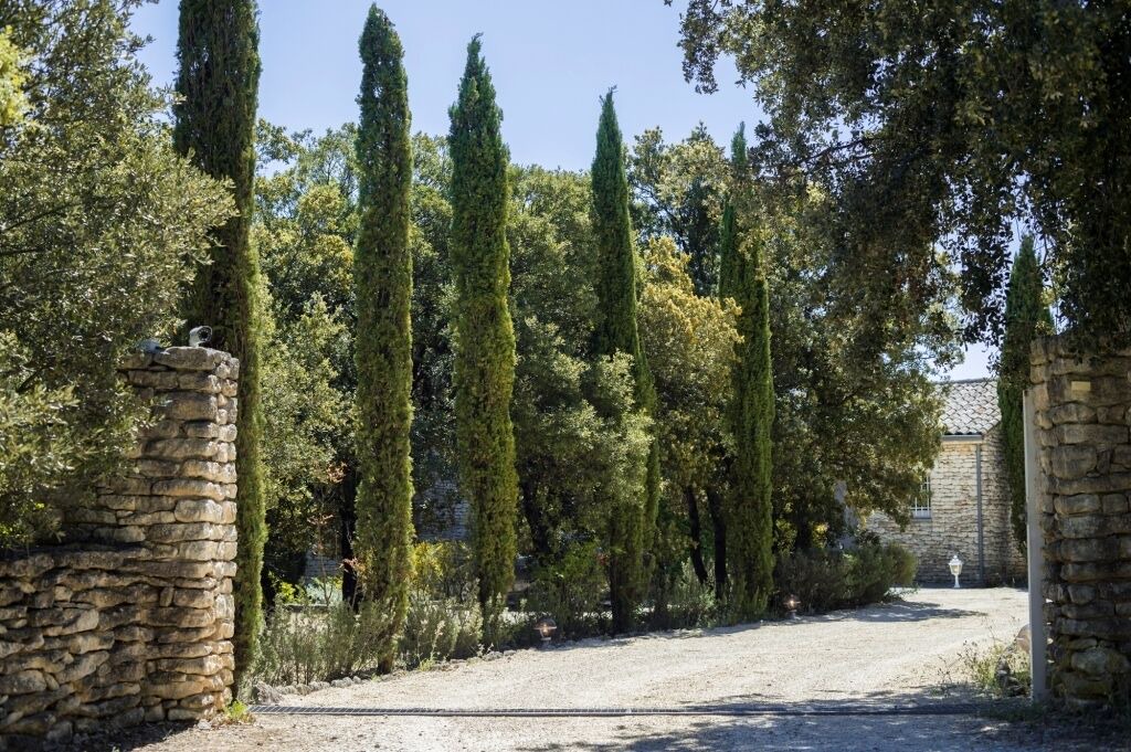 Photo of Outdoor in Bonnieux