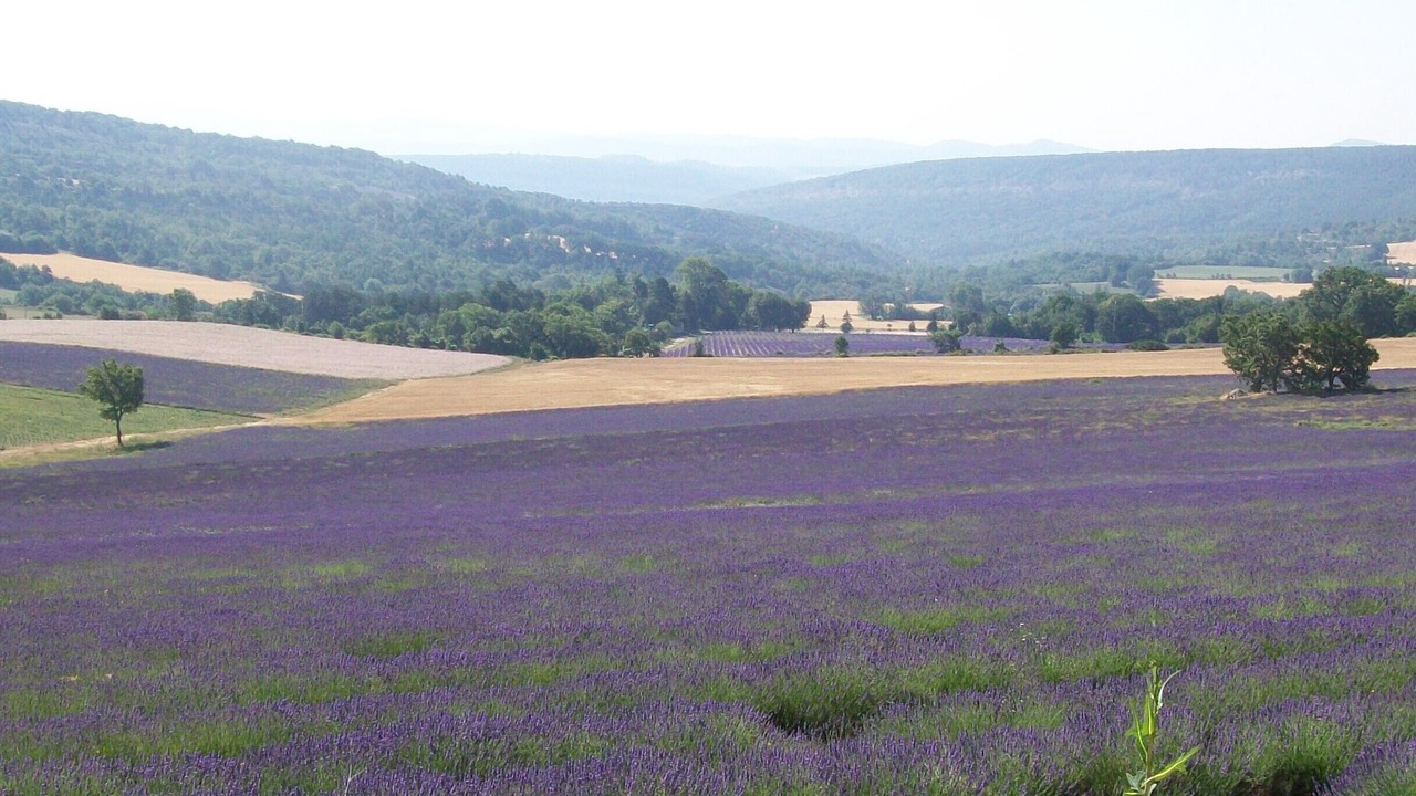 Photo of Outdoor in Vacheres