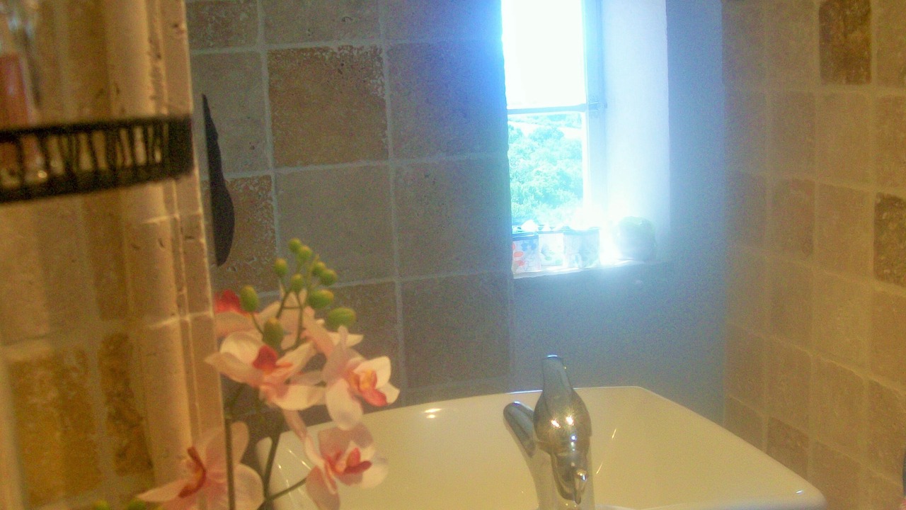 Photo of Bathroom in Vacheres