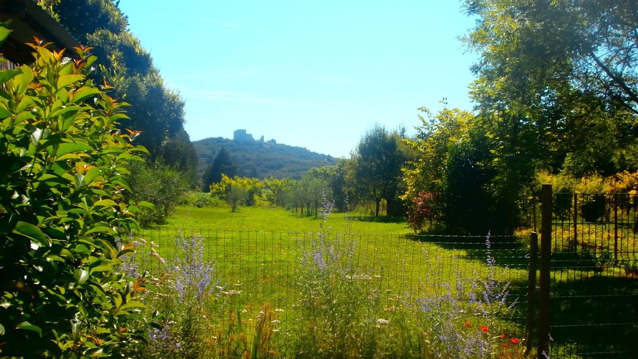 Photo of Outdoor in Le Thor