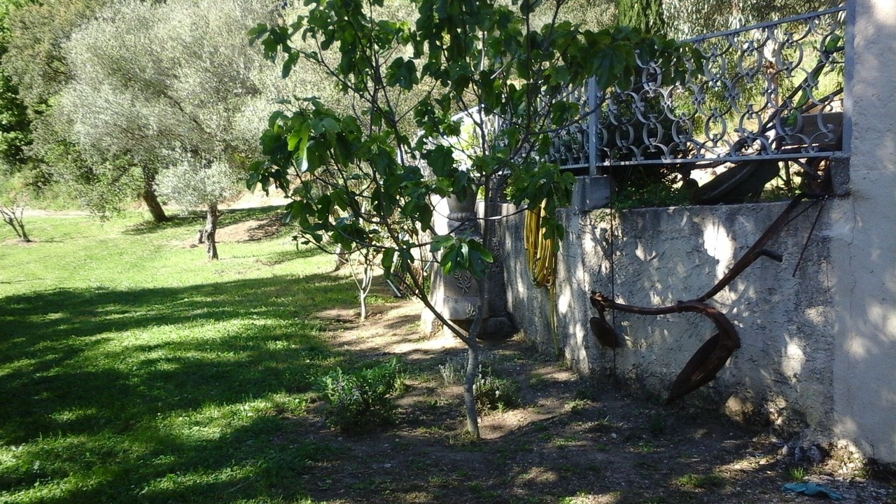 Photo of Outdoor in Collobrieres